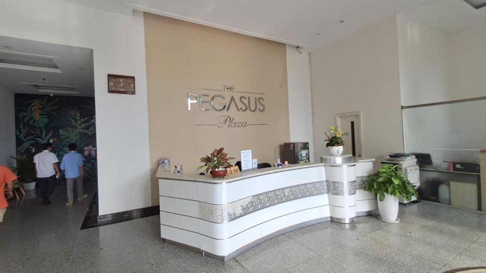 Bán căn hộ Penthouse - Pegasus Biên Hòa - NƠI THỂ HIỆN ĐẰNG CẤP THƯỢNG LƯU2092105