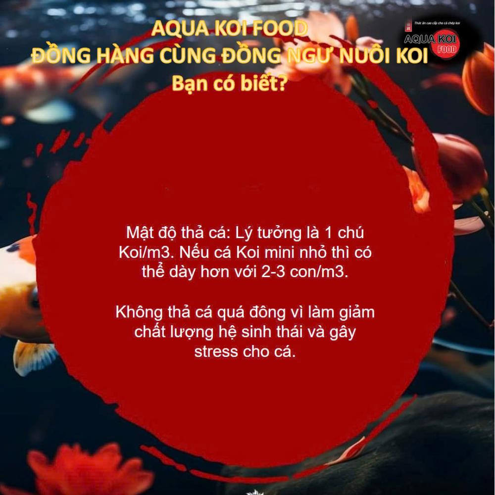 Aqua Koi 2 trong 1 - Giúp cá Koi vừa phát triển nhanh, vừa lên màu đẹp.2108700