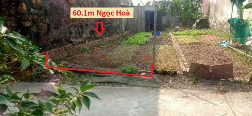 BÁN LÔ ĐẤT GÍA ĐẦU TƯ CHỈ 2TY650 ĐẤT TẠI NGỌC HÒA-CHƯƠNG MỸ D/T:60,1M2147055