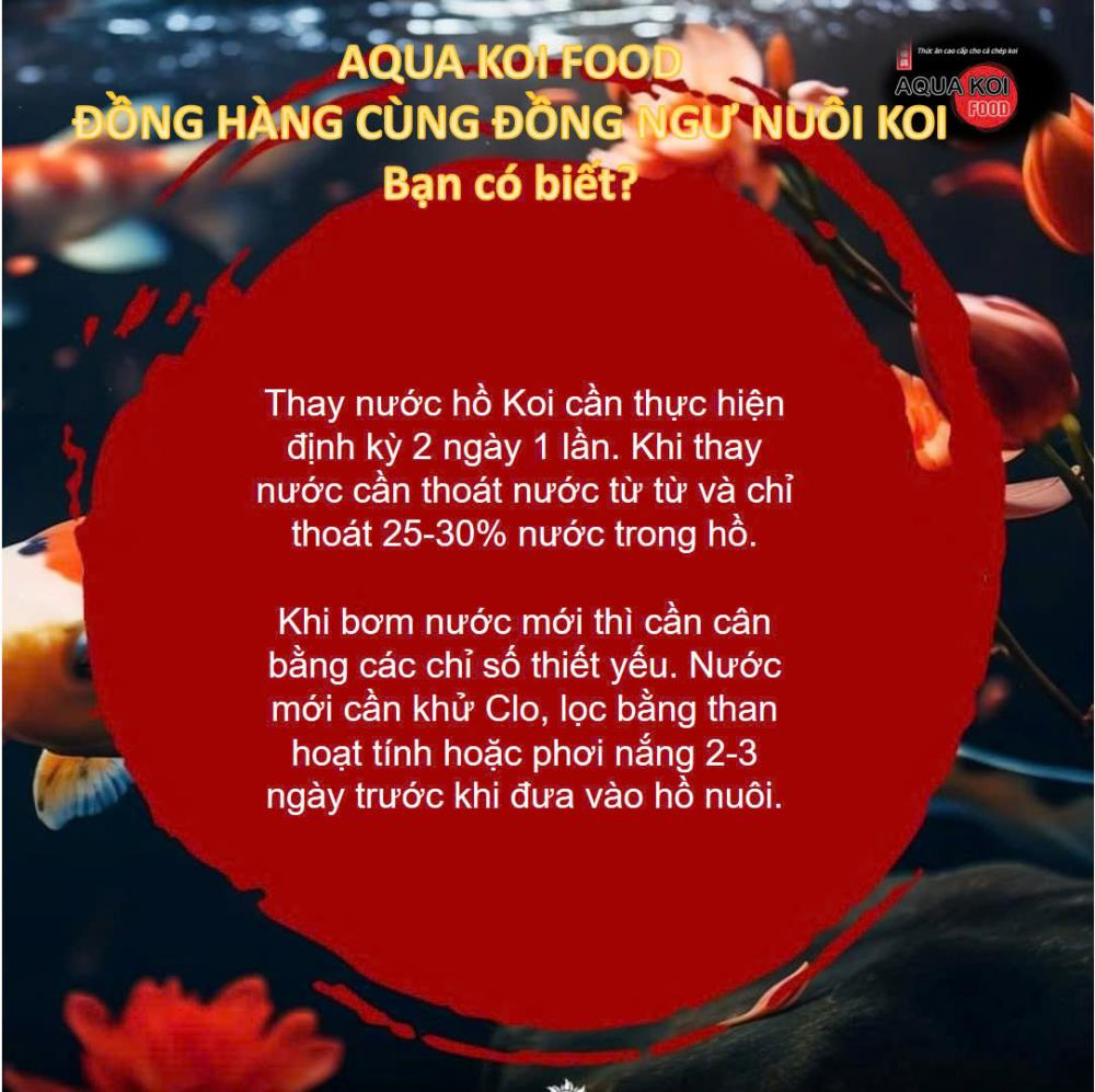 Aqua Koi – Lựa chọn lý tưởng giúp cá Koi tăng trưởng vượt trội, duy trì sắc màu tươi sáng và sức khỏe mạnh mẽ dài lâu.2136571