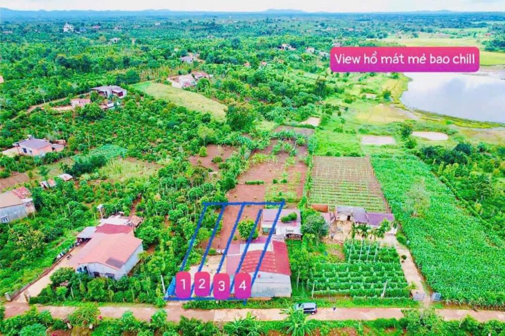 Bán đất đường bê tông view hồ 56 diện tích 250m2 sẵn 60m2 thổ cư chỉ 179tr view rất mát2070003