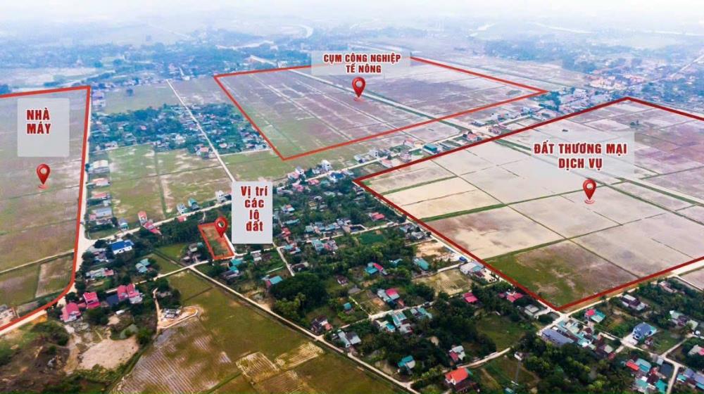 ĐẤT ĐẸP – GIÁ TỐT - CẦN BÁN NHIỀU LÔ ĐẤT MẶT TIỀN TẠI  xã Tế Nông, huyện Nông Cống, Thanh Hóa2082593