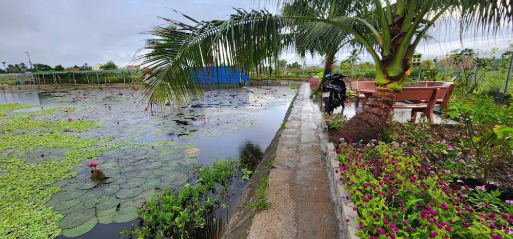 Chuyển Nhượng Lô Đất Thuộc Xã Tân Phong- Huyện Kiến Thụy- Hải Phòng2192343