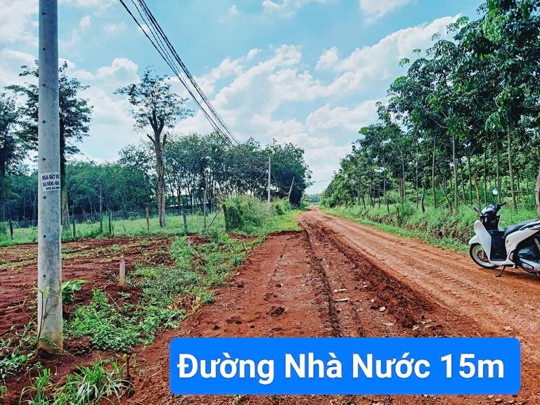 CHÍNH CHỦ BÁN ĐẤT TẠI LỘC QUANG - LỘC NINH - BÌNH PHƯỚC.2167898