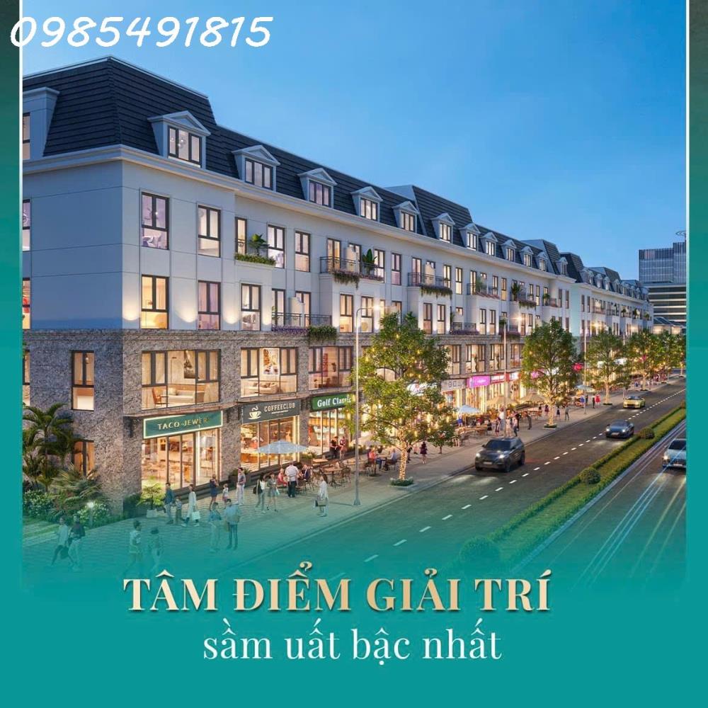 BIỆT THỰ CENTRAL RIVERSIDE - AN CƯ LÝ TƯỞNG, KẾT NỐI THỊNH VƯỢNG2125878