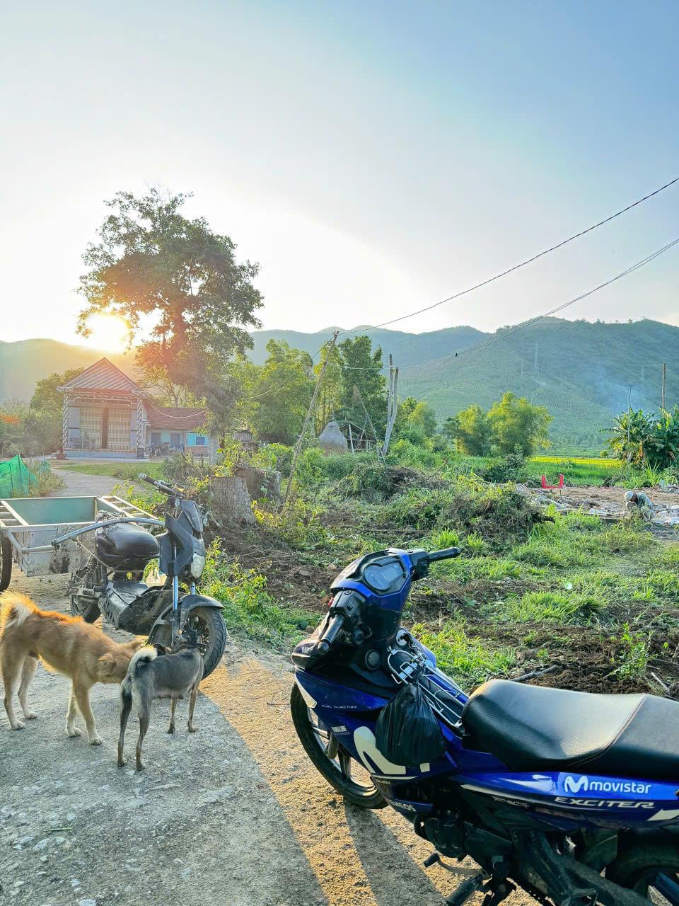 ĐẤT CHÍNH CHỦ - GIÁ TỐT - Vị Trí Đẹp Tại Thôn Hoà Nghĩa, Xã Mỹ Hiệp, Huyện Phù Mỹ, Tỉnh Bình Định2118318