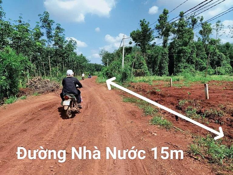 CHÍNH CHỦ BÁN ĐẤT TẠI LỘC QUANG - LỘC NINH - BÌNH PHƯỚC.2167899