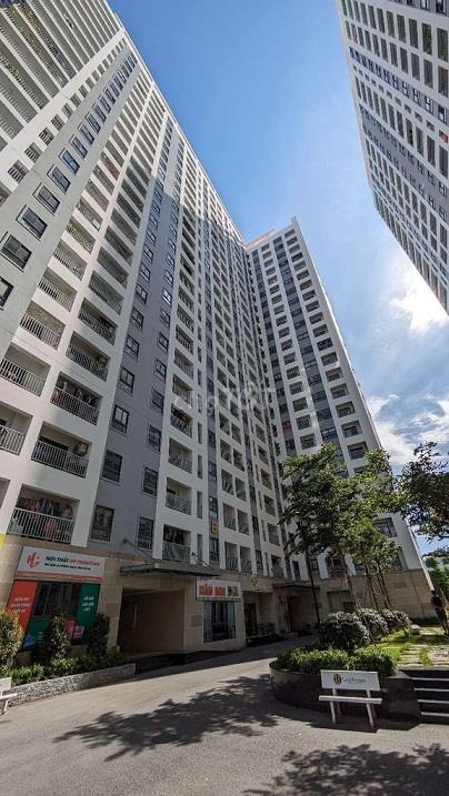 Cho Thuê Căn hộ mới 2PN, 2WC - Chung cư Iris Tower - Đường Nguyễn Du, Phường Bình Hòa, TP.Thuận An, Bình Dương2112126