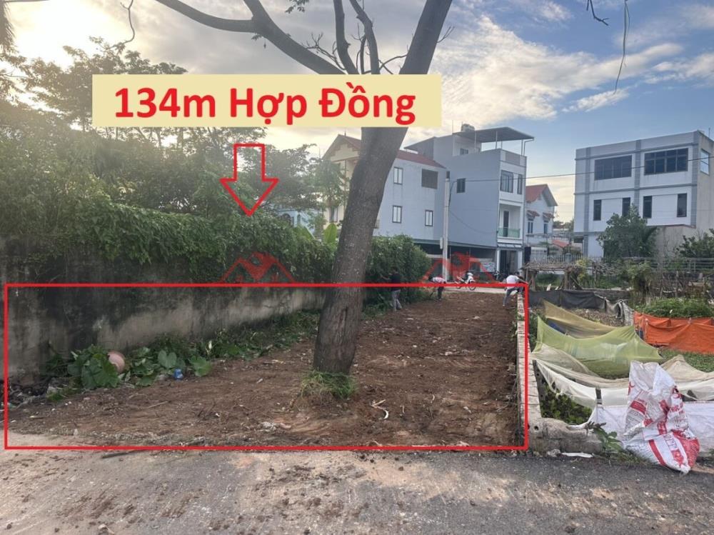 BÁN LÔ ĐẤT GIÁ ĐẦU TƯ 3TY850 ĐẤTTẠI HỢP ĐỒNG-CHƯƠNG MỸ DIỆN TÍCH:134M2153552