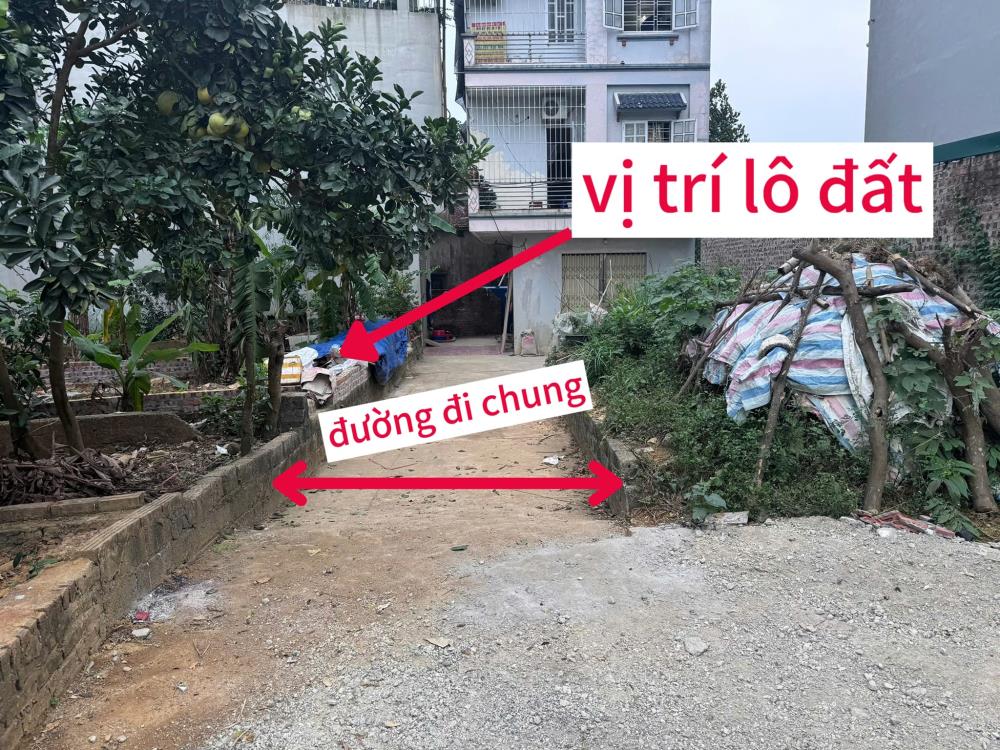 Chính chủ gửi bán lô đất 46,4m2, Đồng Nanh-Tiên Phương- Chương Mỹ-Hà Nội2106563