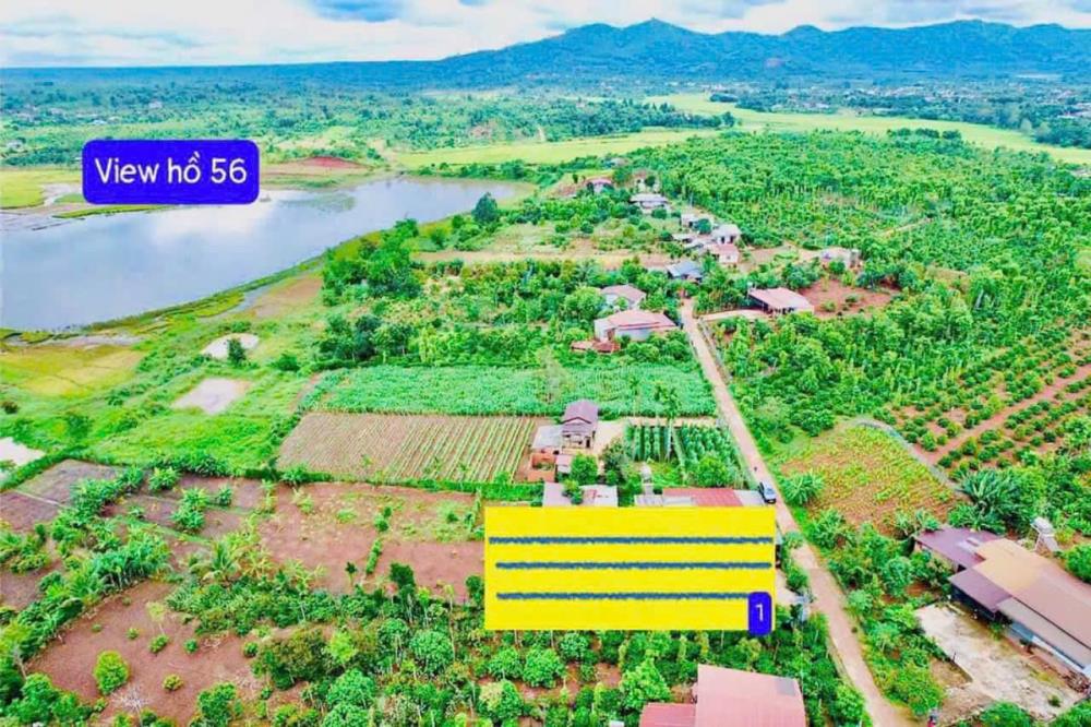 Bán đất đường bê tông view hồ 56 diện tích 250m2 sẵn 60m2 thổ cư chỉ 179tr view rất mát2070002