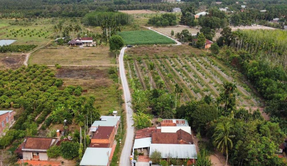 ĐẤT ĐẸP - GIÁ Tốt - Vị Trí Tại  : Ấp Cây Đa - Xã Hiệp Thạnh - Huyện Gò Dầu - Tỉnh Tây Ninh2115741