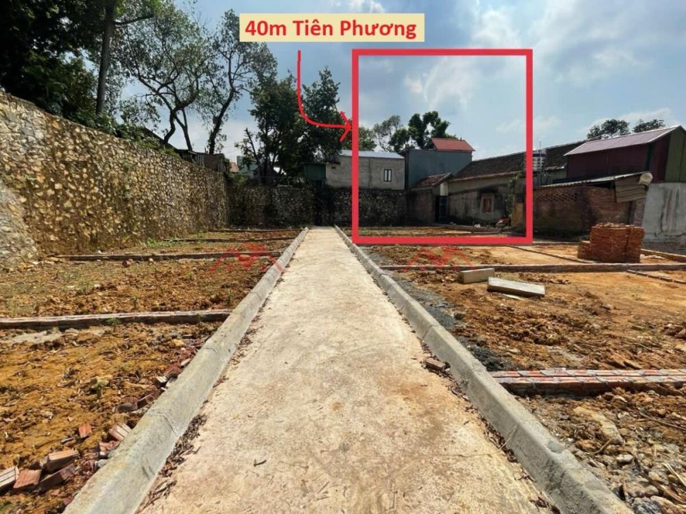 BÁN LÔ ĐẤT 4OM GIÁ ĐẦU TƯ 1TY620 ĐẤT TẠI TIÊN PHƯƠNG-CHƯƠNG MỸ2116590