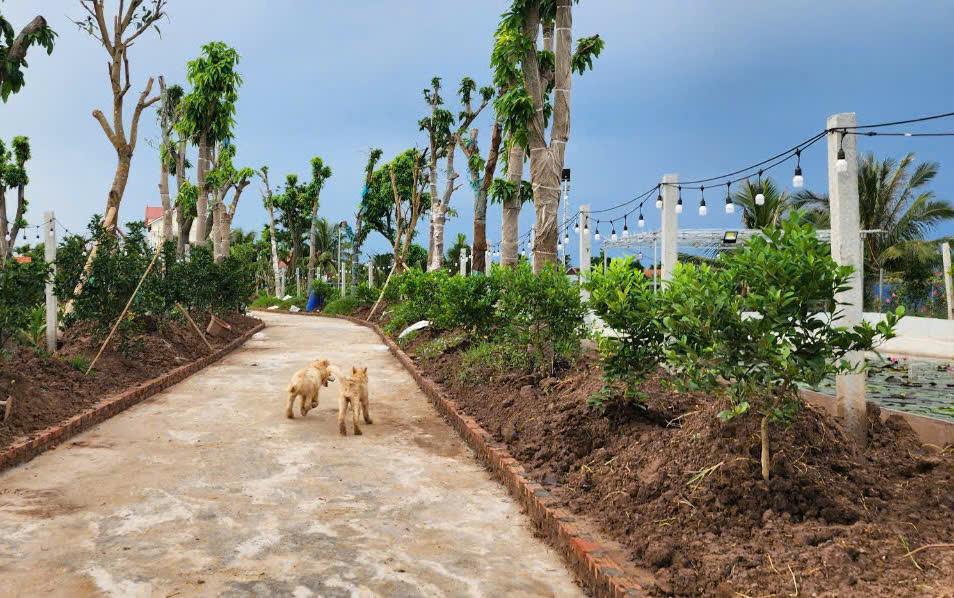 Chuyển Nhượng Lô Đất Thuộc Xã Tân Phong- Huyện Kiến Thụy- Hải Phòng2192339