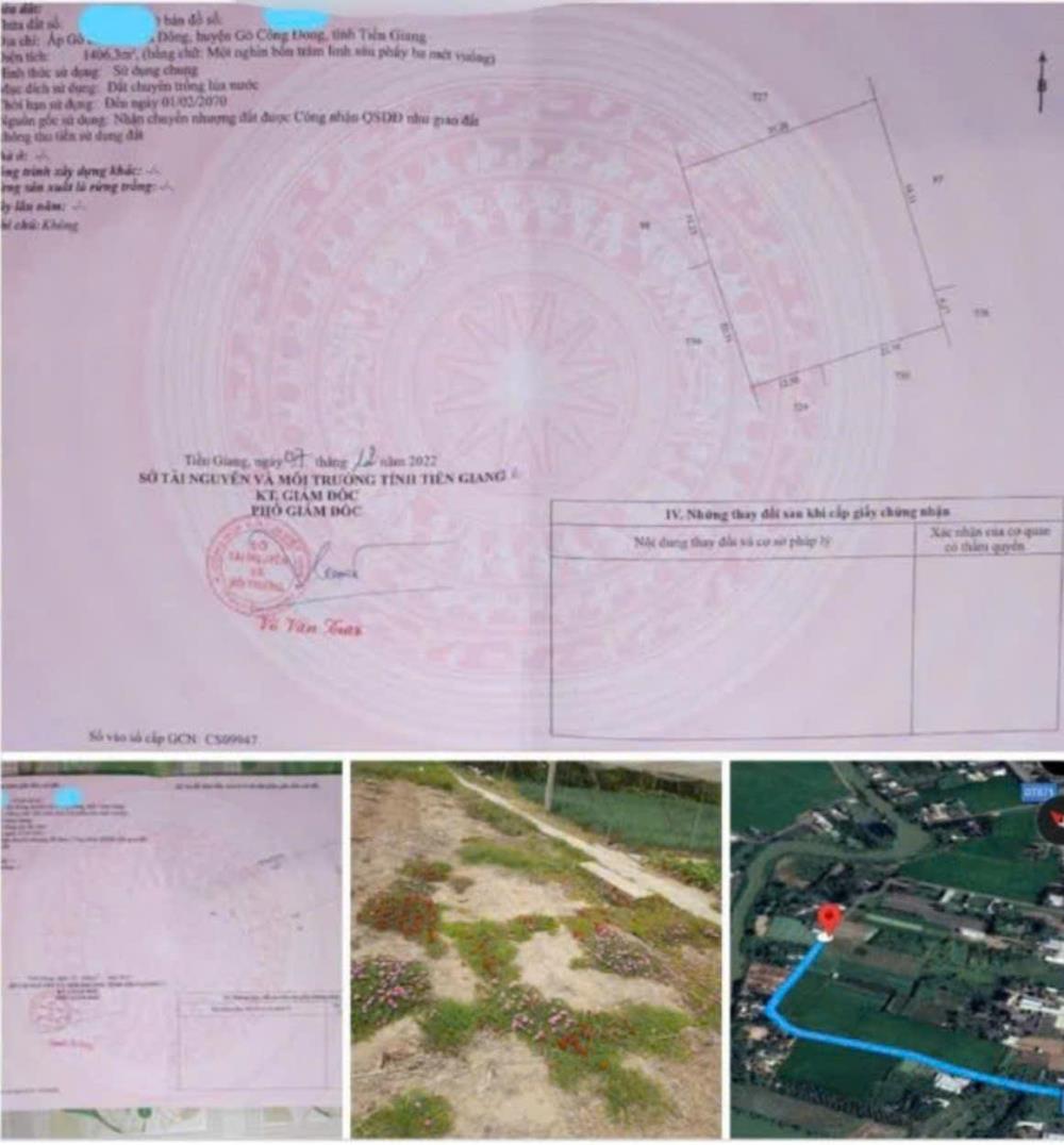 CHÍNH CHỦ Cần Bán Nhanh Đất Cây Lâu Năm Tại Xã Tân Đông, Gò Công Đông, Tiền Giang2089581