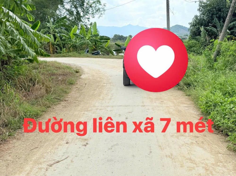 Chỉ 2 lô duy nhất full thổ cư Phước Lâm - Ninh Xuân - Ninh Hoà - Khánh Hoà giá rẻ2143914