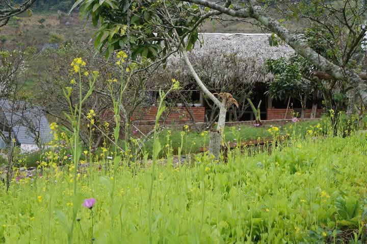 Bán Đất View Đẹp Tại Khu Du Lịch Cộng Đồng Tổ Vặt Hồng, P. Mường Sang, TX Mộc Châu2365758