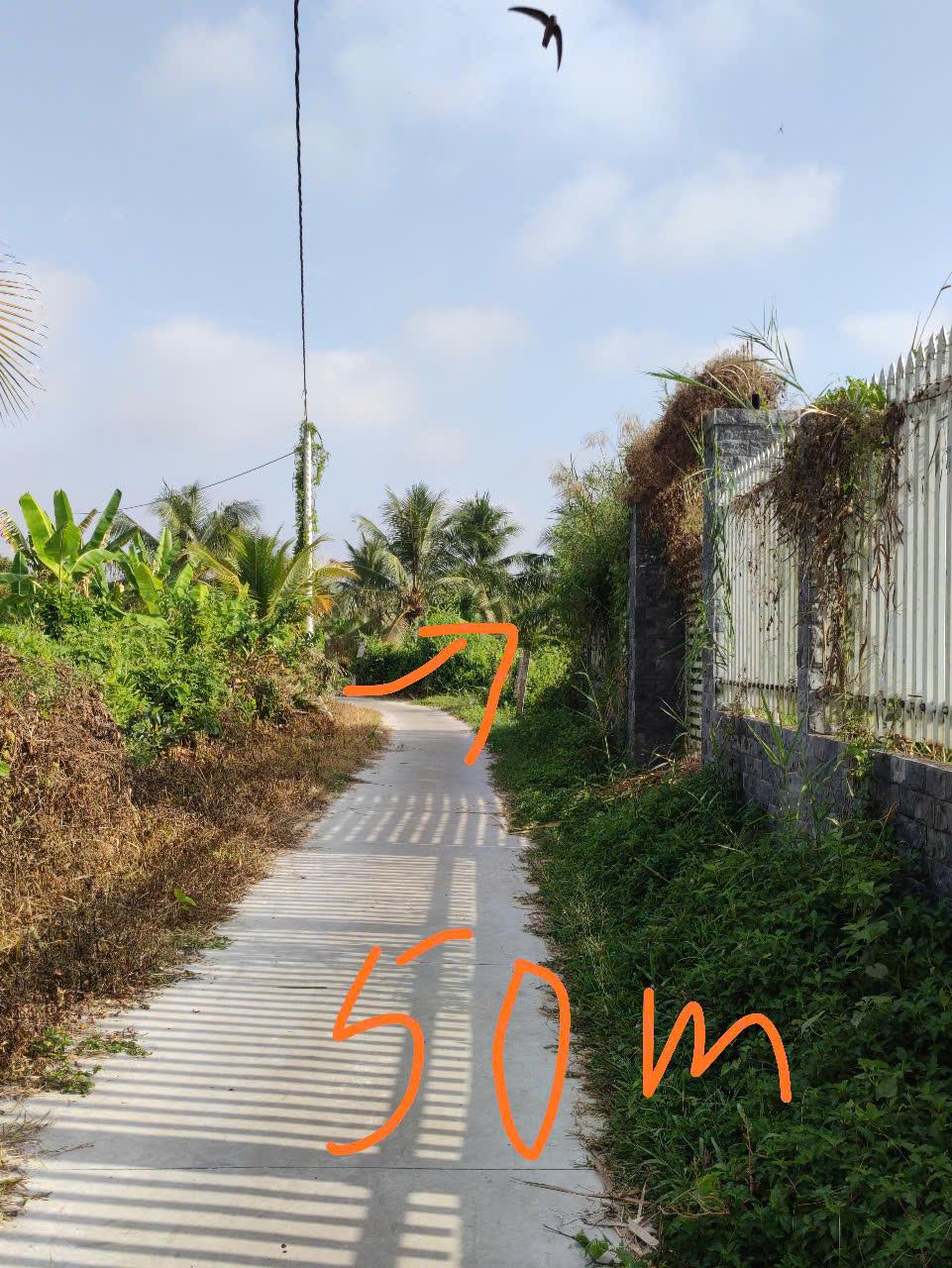 CHÍNH CHỦ CẦN BÁN LÔ ĐẤT VỊ TRÍ ĐẸP TẠI XÃ THÂN CỬU NGHĨA - H.CHÂU THÀNH - TIỀN GIANG2546238