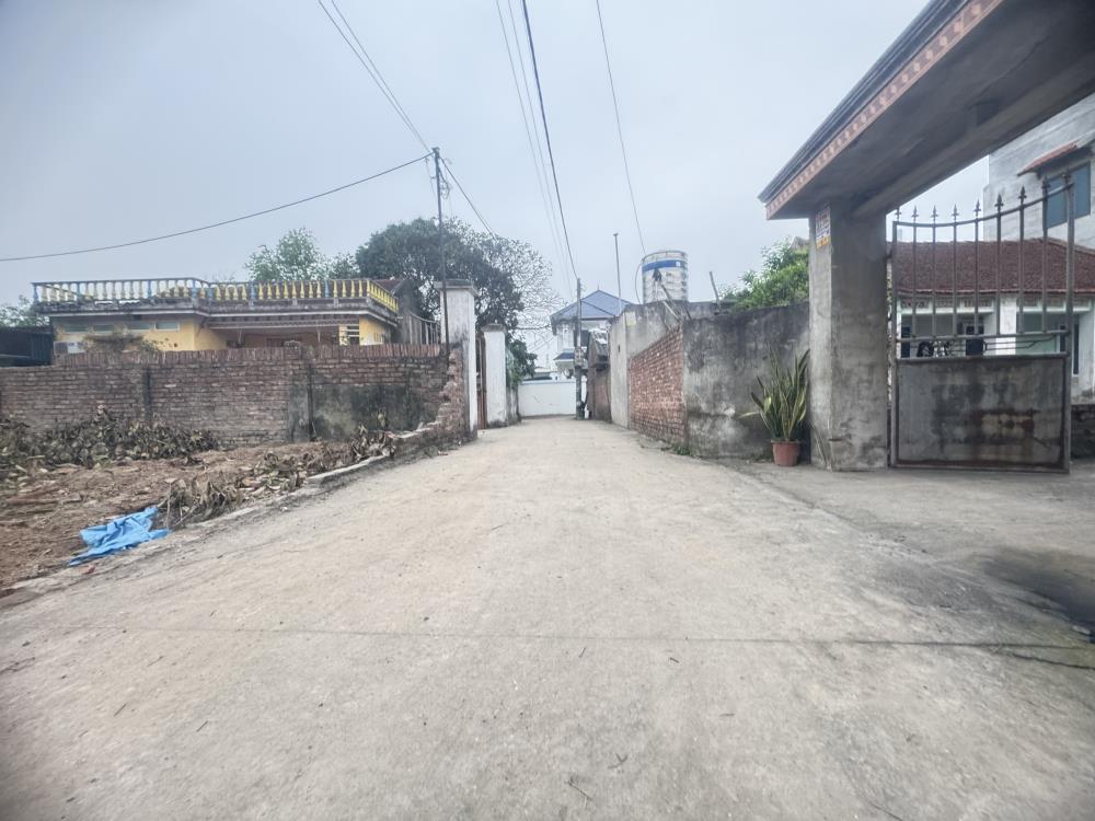 Cần bán 56m tại Cát Lư, Chỉ Đạo, Văn Lâm, MT hơn 5m giá nhỉnh 1ty2528399