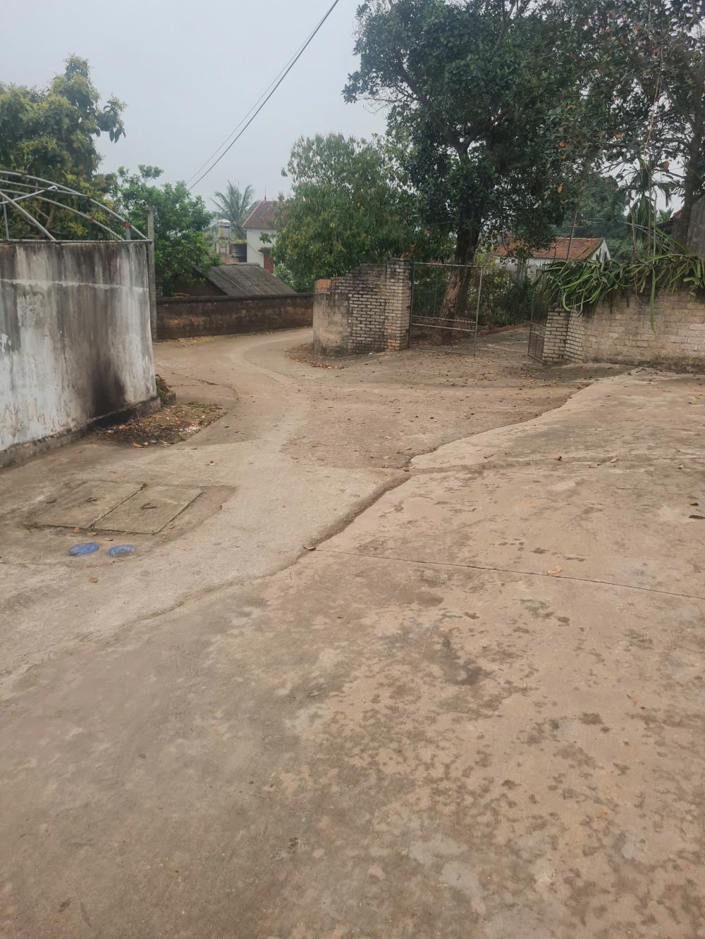 Bán Đất Tân Dĩnh, Lạng Giang, Bắc Giang. 143m2- Lô Góc. Giá 680tr2570517