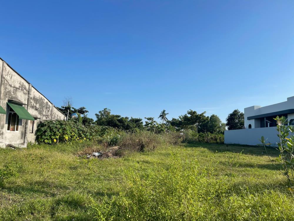 Bán 3000m2 đất hẻm Trần Quốc Toản, thị xã LaGi giá rẻ nhất sổ riêng2607533
