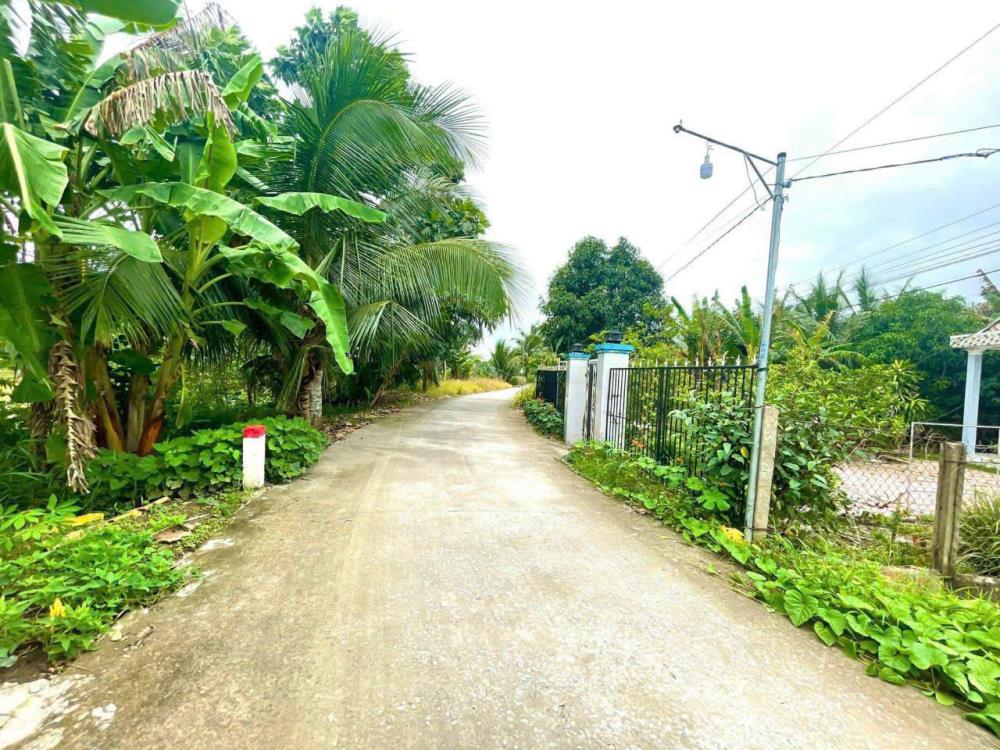 CHỦ Cần BÁN NỀN MẶT TIỀN NGANG 20M LỘ Ô TÔ GẦN CĂN NHÀ MÀU TÍM - TÂN PHÚ - CÁI RĂNG2560124