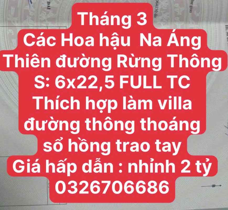 THÍCH HỢP XÂY VILLA MINI TẠI RỪNG THÔNG MỘC CHÂU2495342