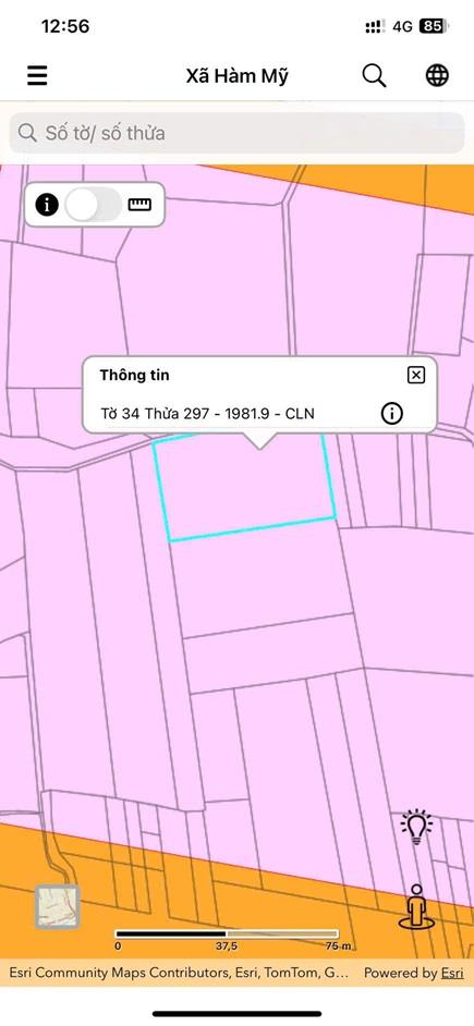 CHÍNH CHỦ CẦN BÁN LÔ ĐẤT TẠI Hàm Mỹ, Phan Thiết, Bình Thuận - GIÁ CỰC RẺ2488985