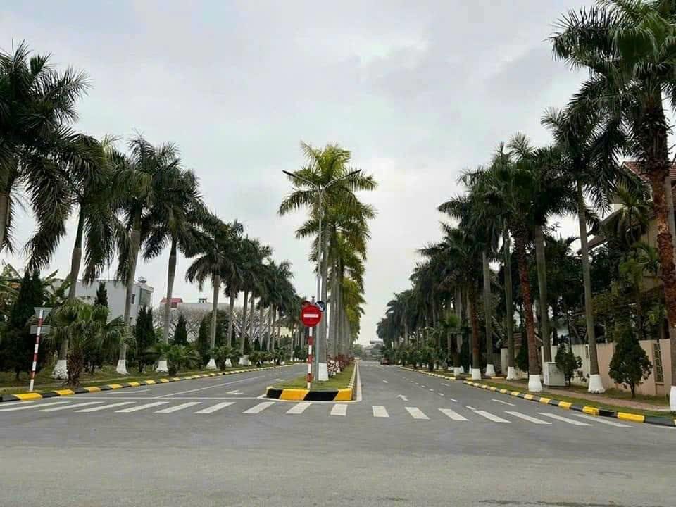 Bán Đất Đại An, Tứ Minh, Hải Dương siêu đẹp giá đầu tư2604095