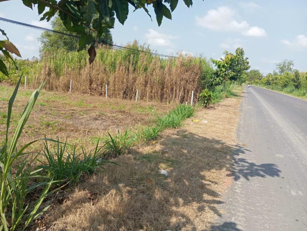 Bán Đất Mặt Tiền, Xã Nguyễn Văn Thảnh, Bình Tân, Vĩnh Long – 2 miếng Giá 390 Triệu Và 600TR2573088