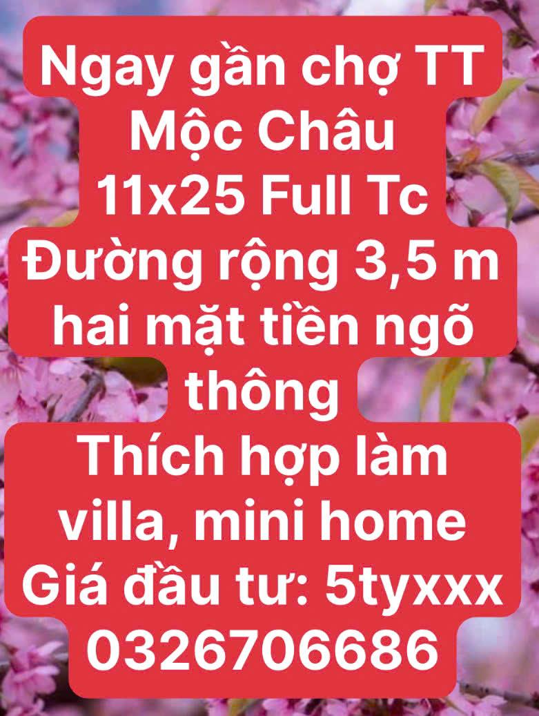 2000M2 ĐẤT HÀNG VIP FULL TC KHU DU LỊCH BẢN ÁNG ĐÔNG SANG MỘC CHÂU - LÀM HOME QUÁ ĐỈNH2536373