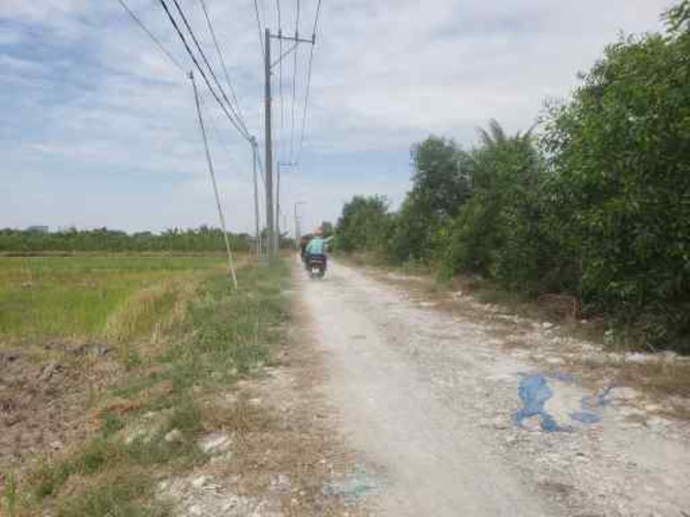Bán Đất Đồng Nai Giá Rẻ Thích Hợp Cho Đấu Tư 20252517150