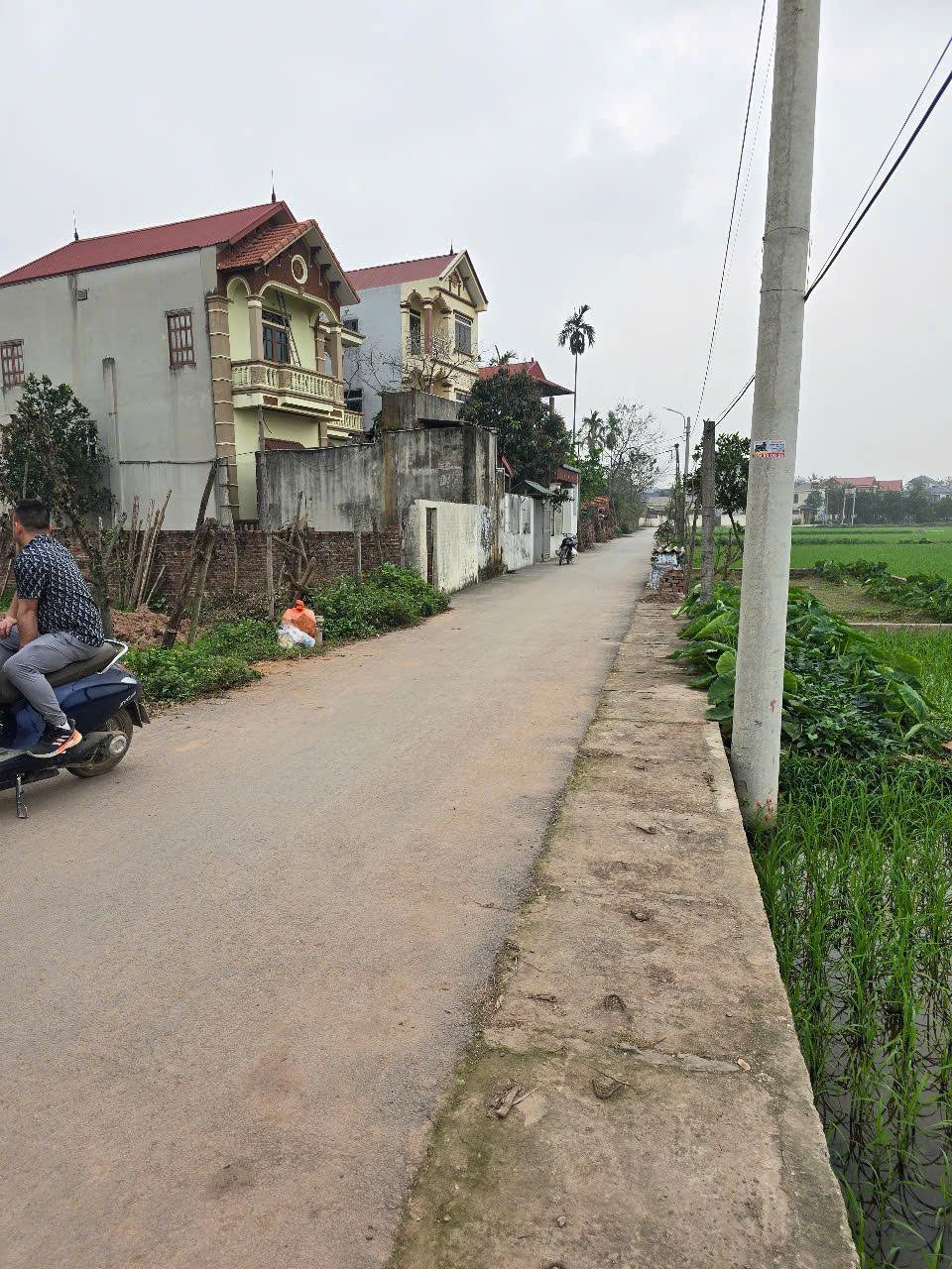bán đất thôn tiên đài xã văn tiến huyện yên lạc tỉnh vĩnh phúc 174.5m2 giá 2,2 tỷ2586996
