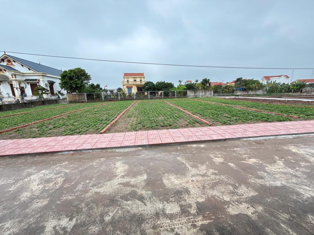 Đất nền Quất Lâm: Rẻ, Chất, Đẹp.... Cơ hội nhân đôi, nhân 3...
CÁCH BÃI TẮM CHỈ 100M – SỔ ĐỎ CHÍNH CHỦ2615496