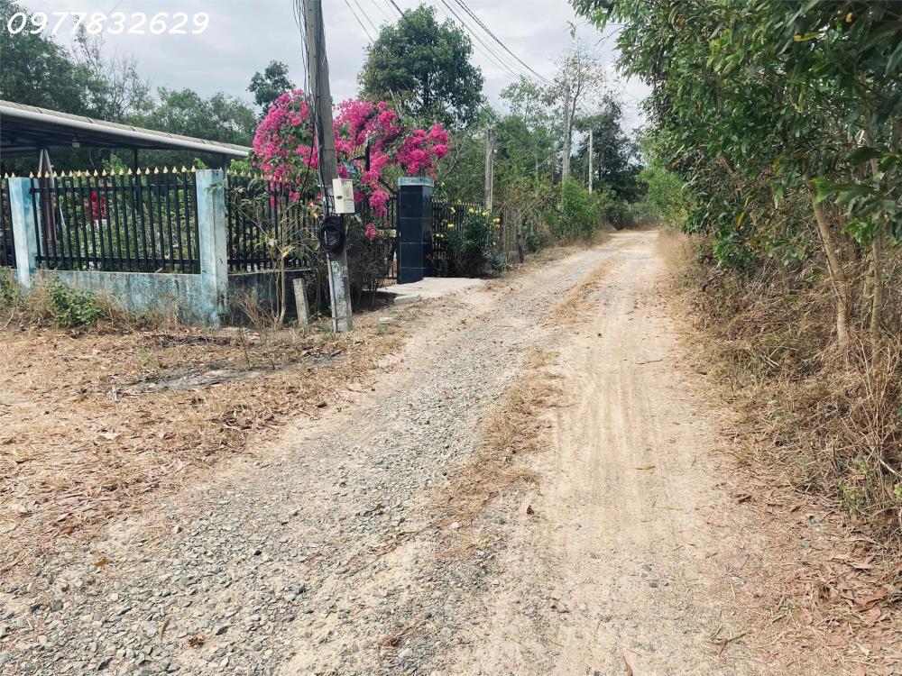 Bán 3.1 sào đất Tân Phước - TX LaGi giá rẻ nhất sổ riêng ngay dân cư2438546