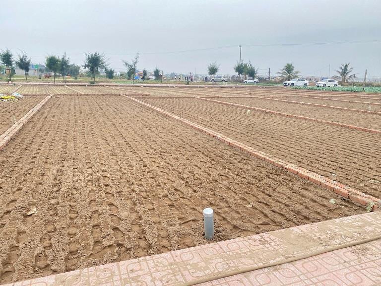 Cần Bán Đất Tại Bãi Biển Quất Lâm- Huyện Giao Thuỷ -Nam Định2505607