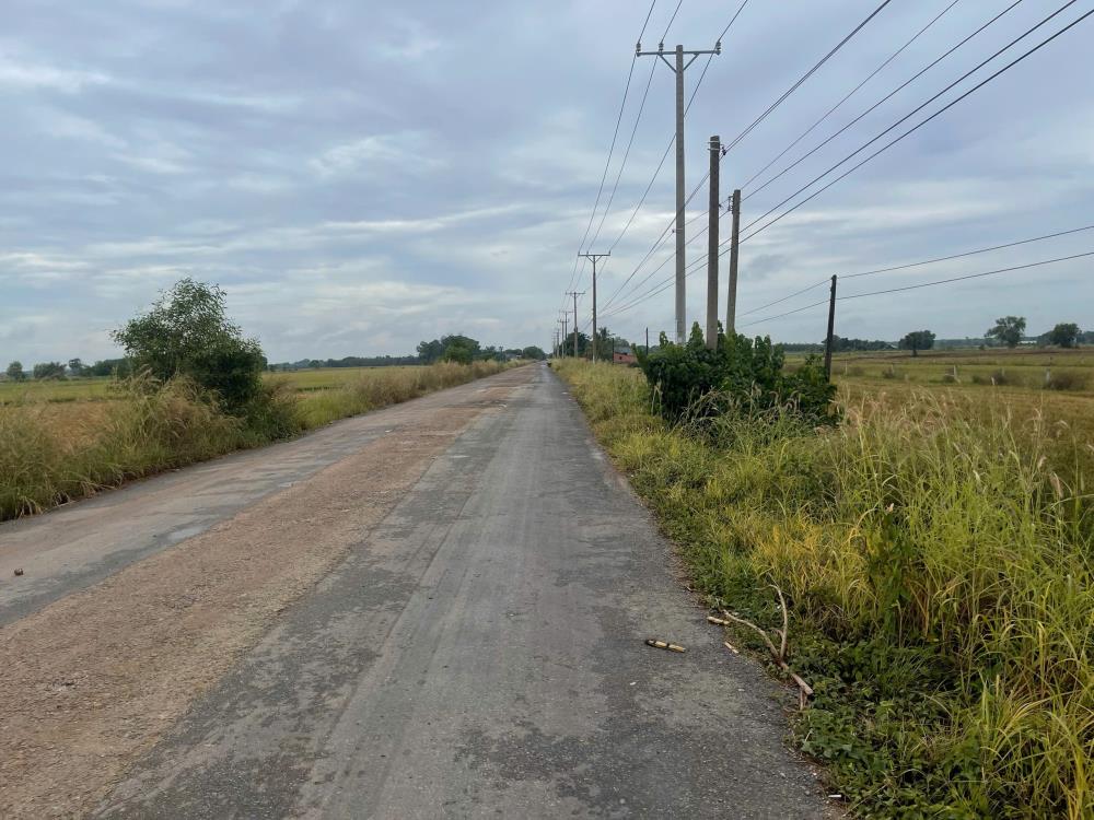 CHÍNH CHỦ CẦN BÁN ĐẤT Hoà Thạnh, Châu Thành, Tây Ninh GIÁ 1.8 TỶ2609996