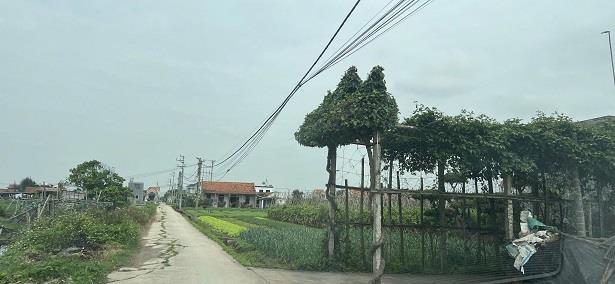 CHÍNH CHỦ CẦN BÁN LÔ ĐẤT ĐẸP TẠI HUYỆN HẢI HẬU TỈNH NAM ĐỊNH2573319
