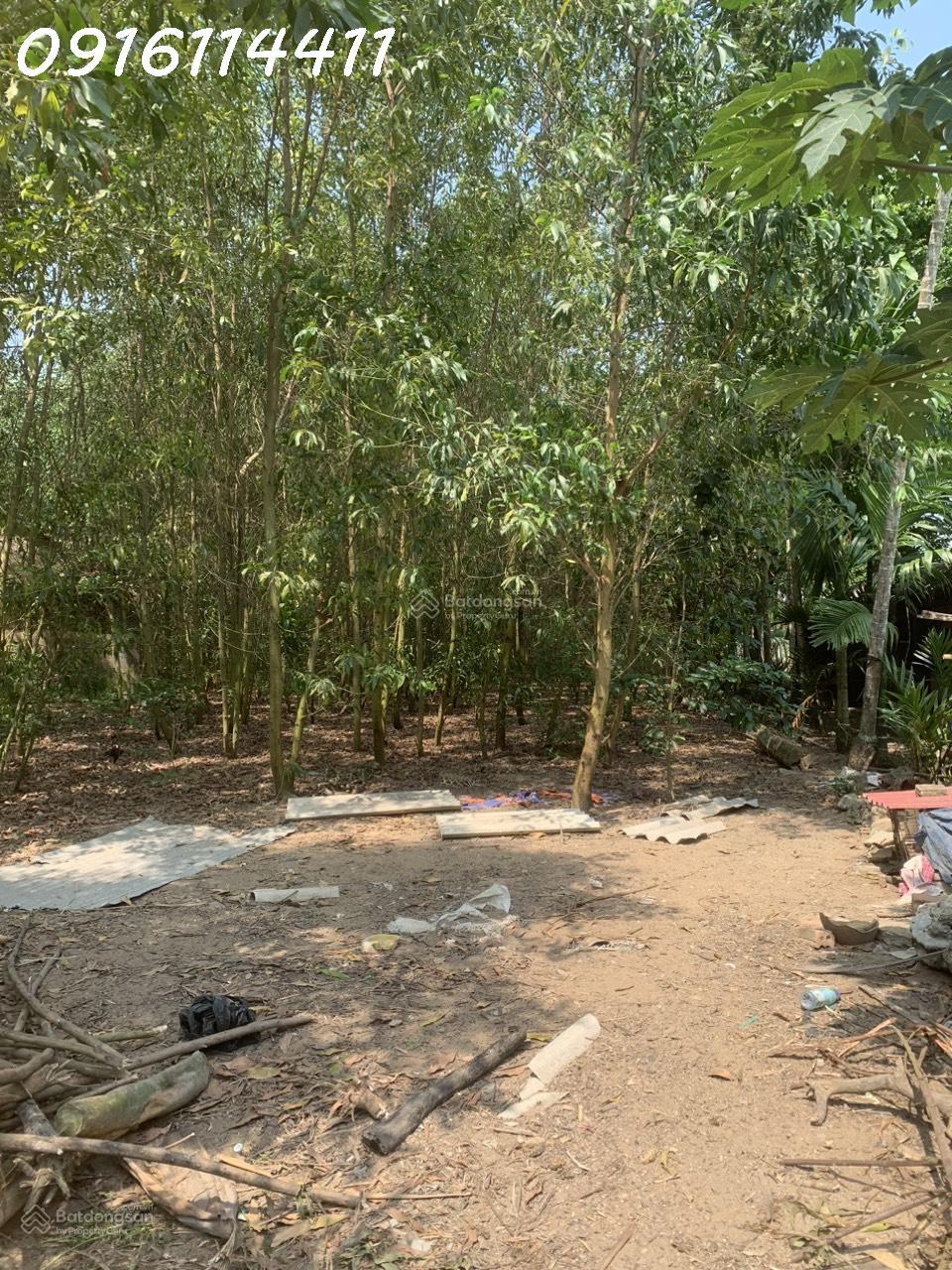 Bán vườn khoảng 3000m2 gần Bàu Sen, 2 mặt đường ô tô tải, giá 1,25 tỷ2584620