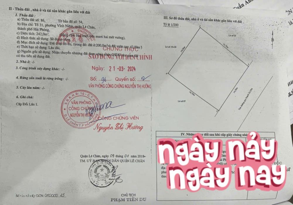 Đất mặt đường ngã 4 Bùi Viện -Võ Nguyên Giáp, 242m, ngang 14.5m, Vỉa hè 5m, Giá 72 tr/m,2475019