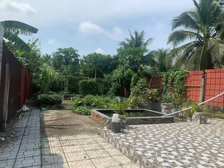BÁN NHÀ ĐẤT ĐẸP – DIỆN TÍCH RỘNG – SỔ HỒNG CHÍNH CHỦ  - Đường 173, Xã Tam Phước, Châu Thành, Bến Tre2555604