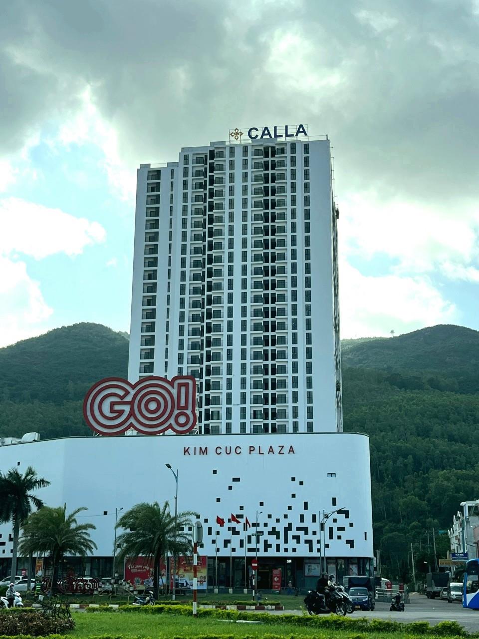 Cho thuê chung cư The Calla (Calla Apartment) - 4tr/th - View biển2349644