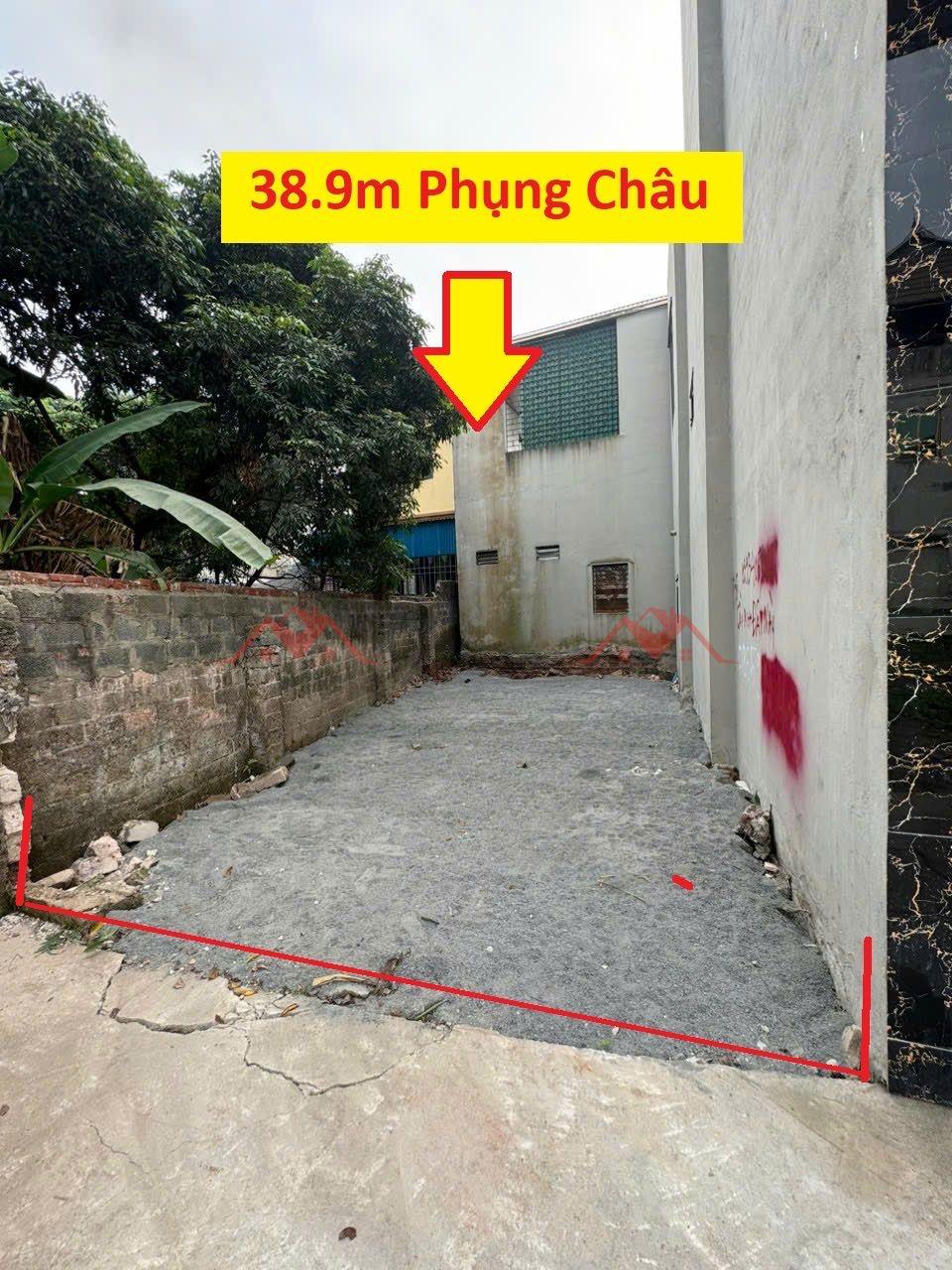CHÍNH CHỦ BÁN LÔ ĐẤT 38.9M TẠI PHỤNG CHÂU-CHƯƠNG MỸ-HÀ NỘI2617293