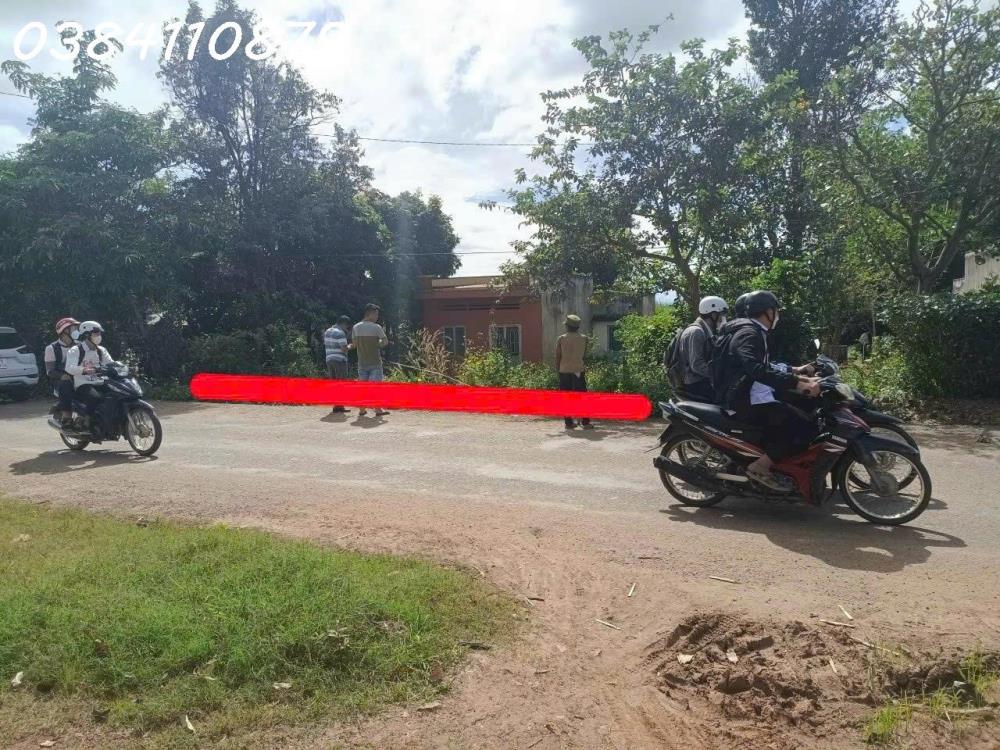 Bán 189ha trồng khép kín keo năm thứ 5 (cả đất) 30 tỷ2565069