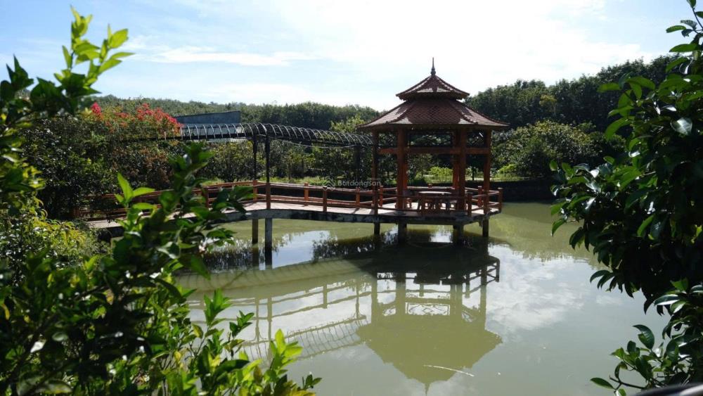 Chính chủ bán trang trại nghỉ dưỡng diện tích 2,8ha kinh doanh cực kỳ tốt2411074