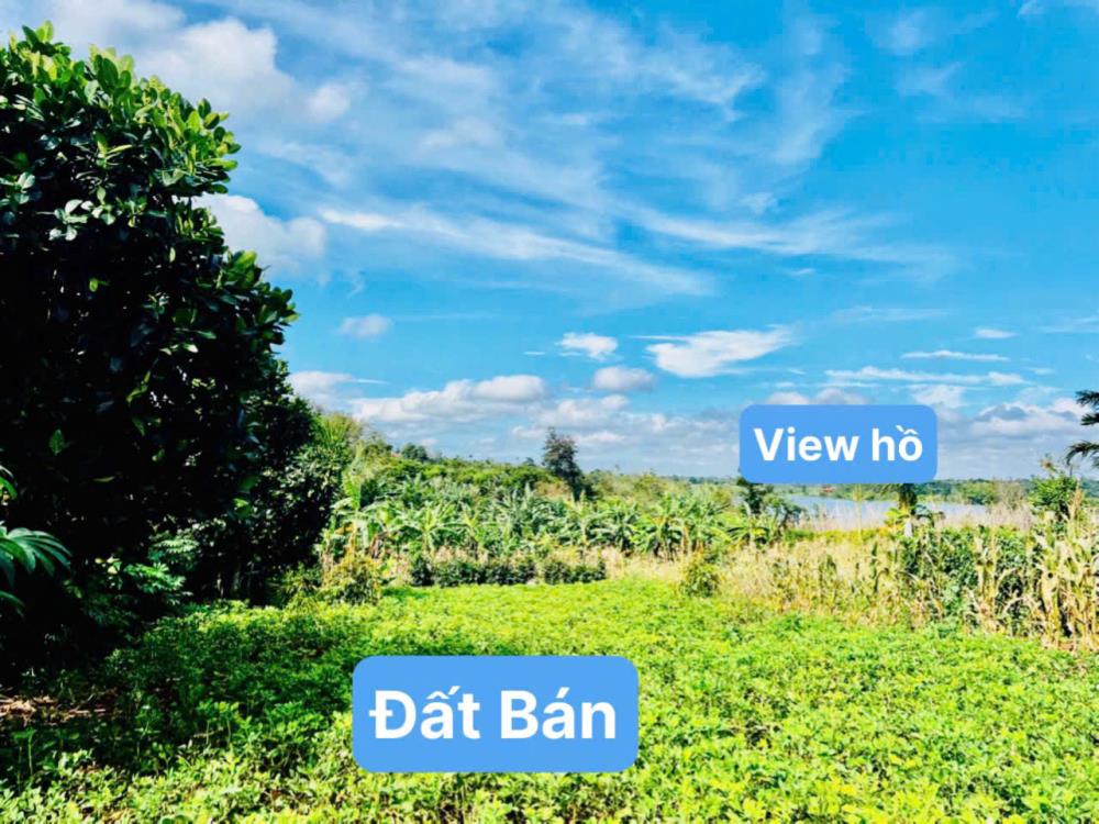 Ea Ning-Cư Kuin-Đắk Lắk đất mặt tiền đường bê tông view hồ 56 mát mẻ kdc đông ssawxn thổ cư chỉ nhỉnh hơn 100tr2585652