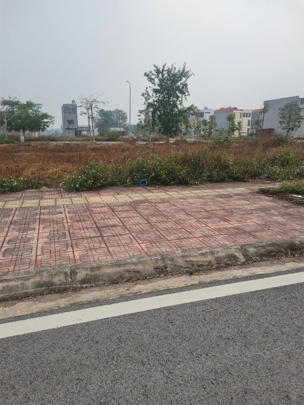 Bán Đất KĐT Tiến Phan, Nhã Nam, Tân Yên.Bắc Giang. 85m2- Mt 5.5m Đường 16m. Giá 1,7 tỷ2586182