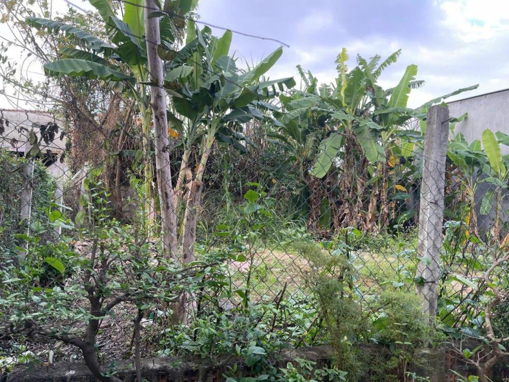 ĐẤT CHÍNH CHỦ - GIÁ TỐT - Cần bán lô đất Nhơn Phú, Quy Nhơn, Bình Định2506987