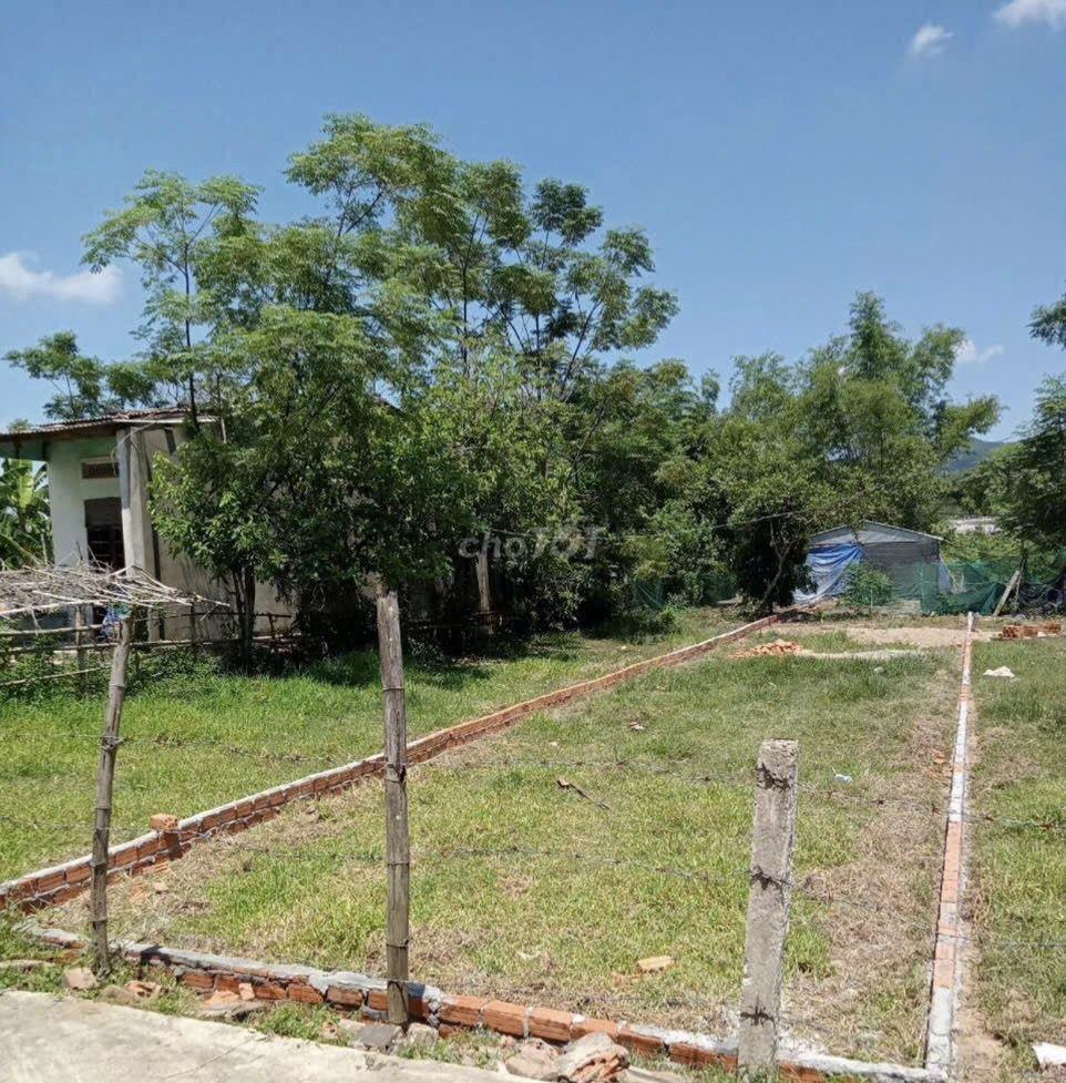 Chính chủ cần bán lô đất 225m2 - Phú Trung 6, Xã Đại Hiệp, Huyện Đại Lộc, Quảng Nam2450890