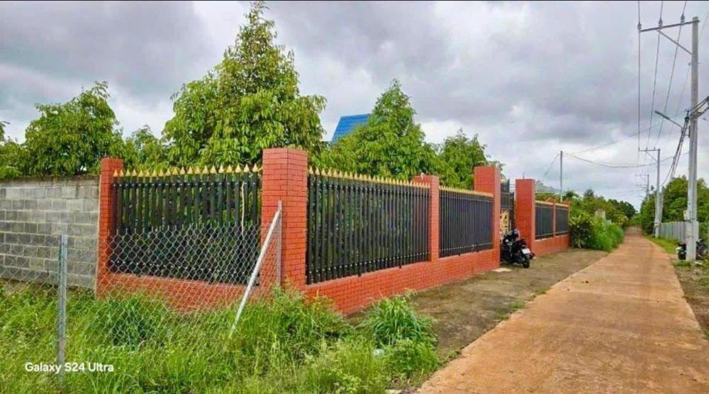 CẦN BÁN NHÀ VƯỜN CÓ 300 CÂY SẦU RIÊNG HỆ THỐNG TƯỚI VÀ ĐIỆN NƯỚC ĐẦY ĐỦ2579875